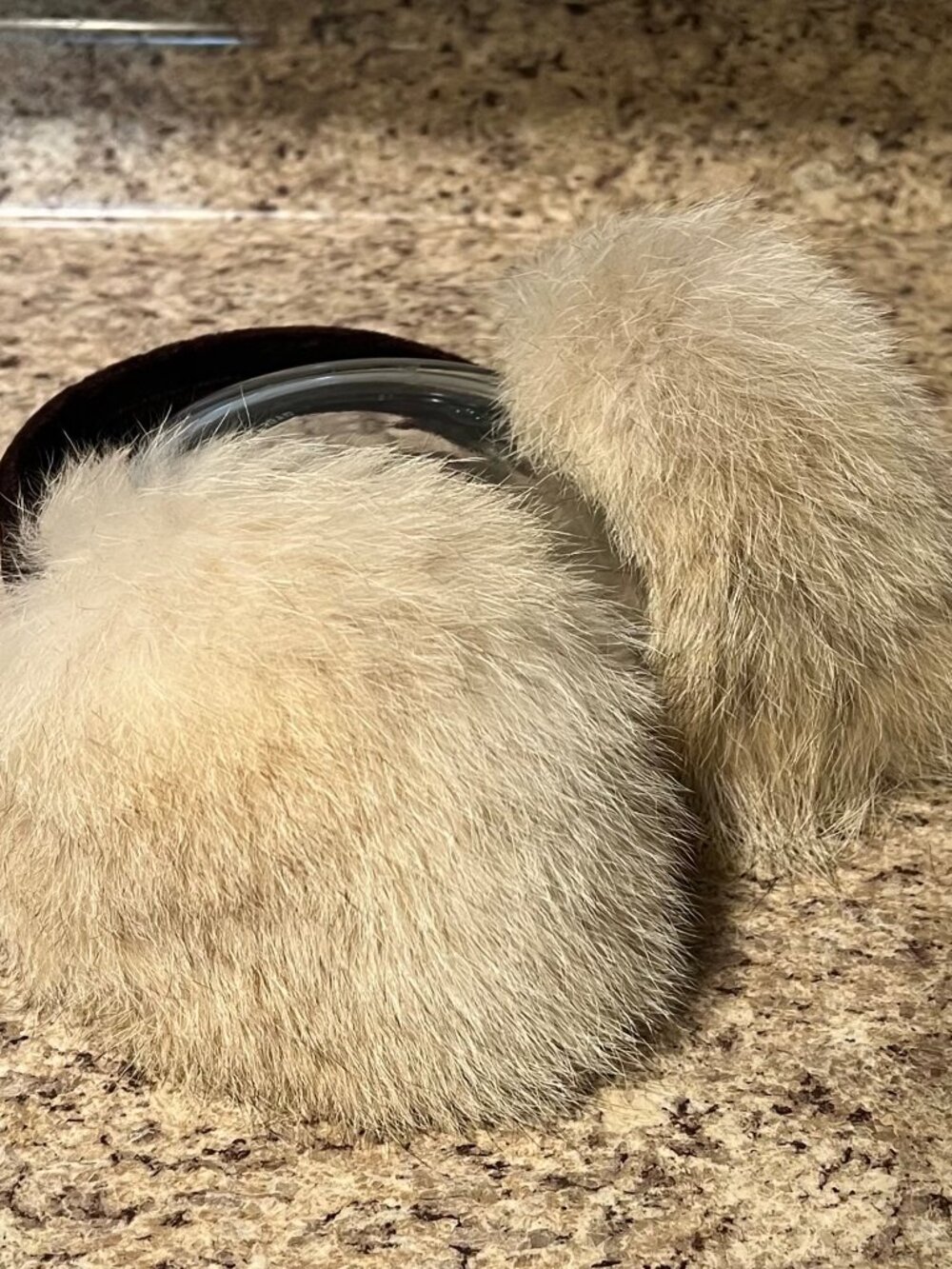 *NEW* {Genuine} Fox Fur Ear Muffs With A Chocolate Brown Velvet Headband*